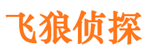 西林外遇出轨调查取证